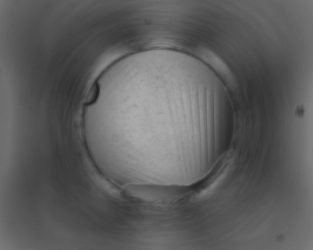 X0000094961190200712131638