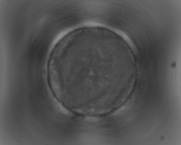 X0000094961191200712131638