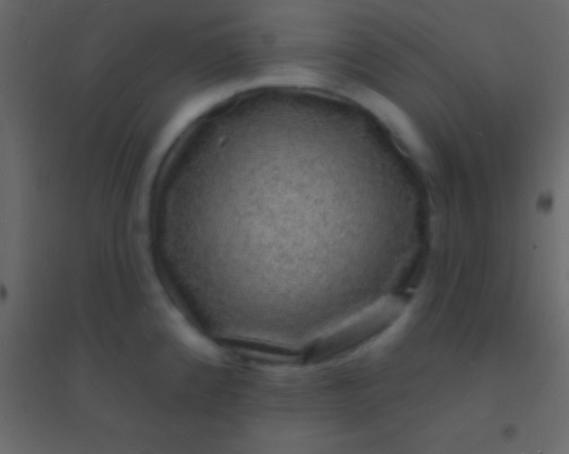 X0000094961192200712131638