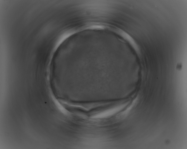 X0000094961194200712131638