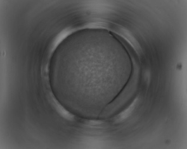 X0000094961196200712131638