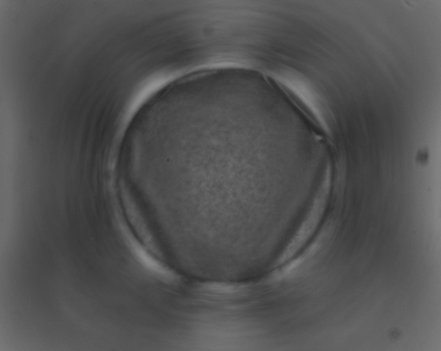 X0000094961197200712131638