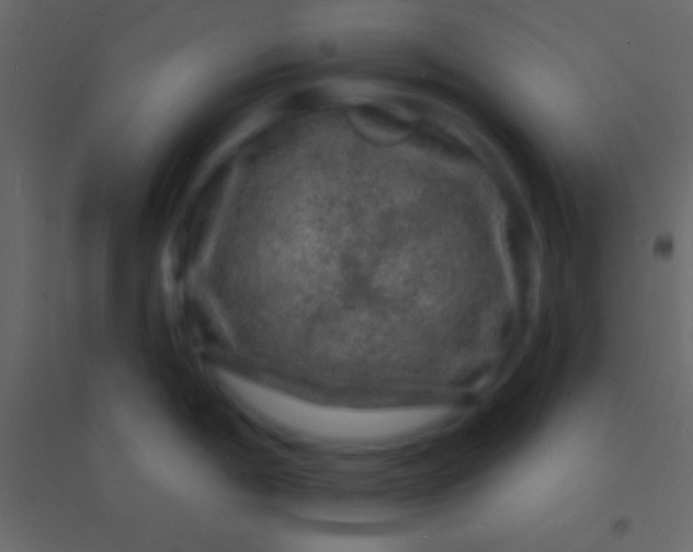 X0000094961198200712131638