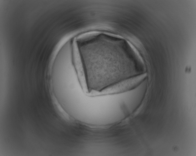 X0000094961200200712131638