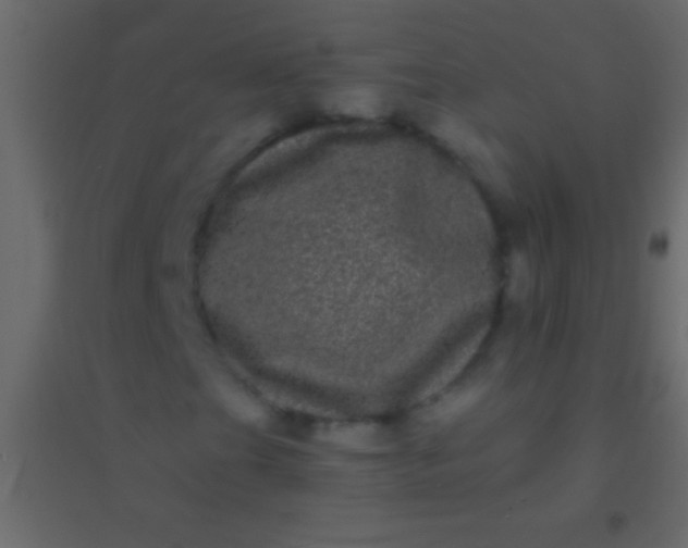 X0000094961201200712131637