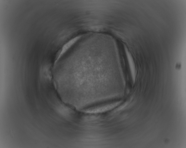 X0000094961202200712131637