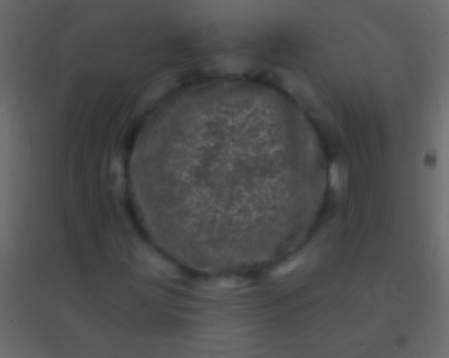 X0000094961203200712131637