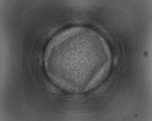 X0000094961204200712131637