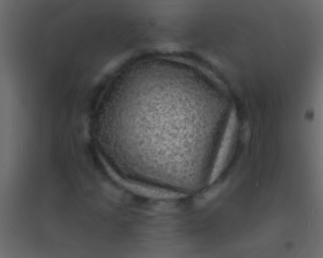 X0000094961205200712131637