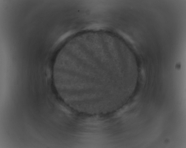 X0000094961206200712131637