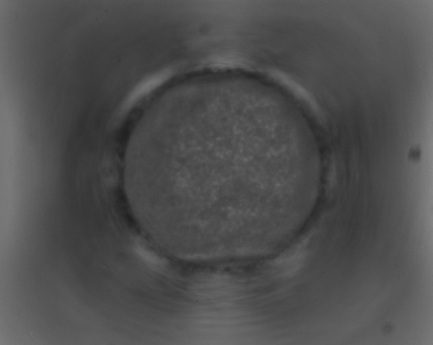 X0000094961207200712131637