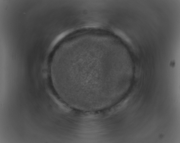 X0000094961208200712131637