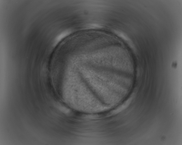 X0000094961210200712131637