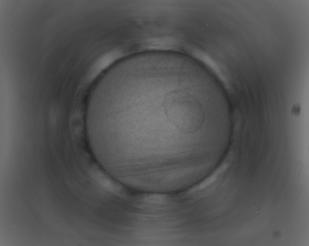 X0000094961211200712131637