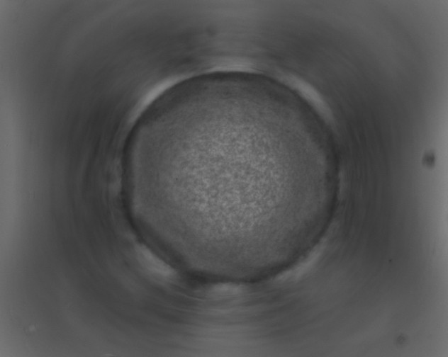 X0000094961212200712131637