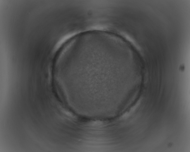 X0000094961214200712131637