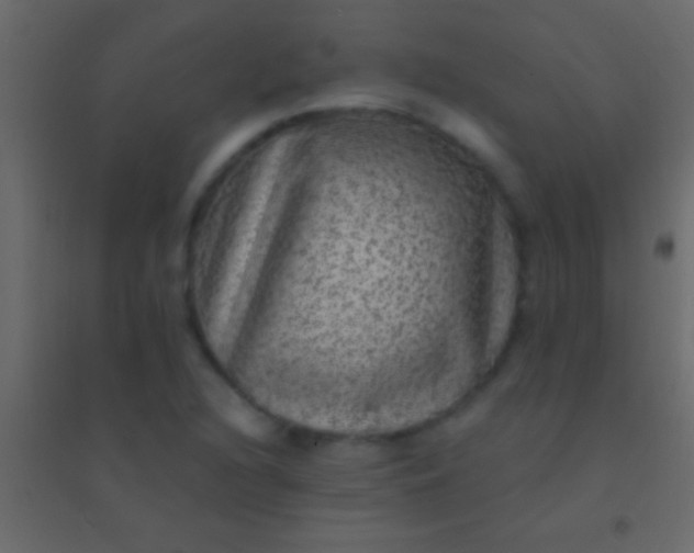 X0000094961216200712131637