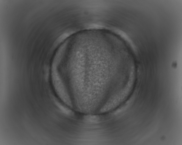 X0000094961217200712131637