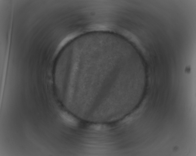 X0000094961218200712131637