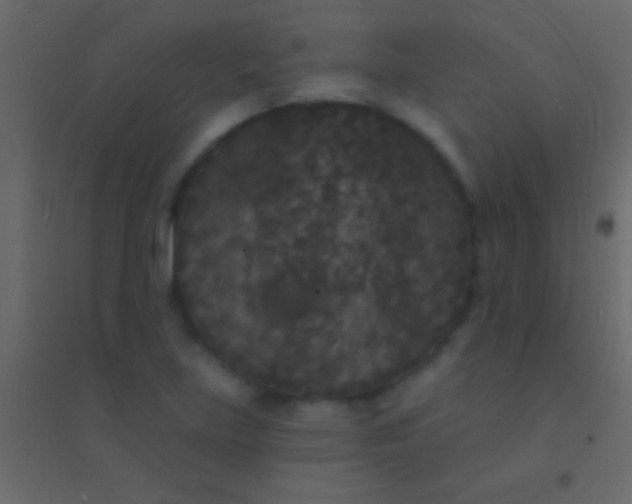 X0000094961219200712131637