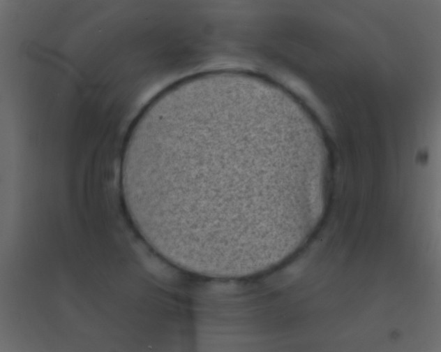 X0000094961220200712131637