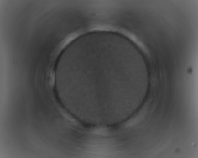 X0000094961221200712131637