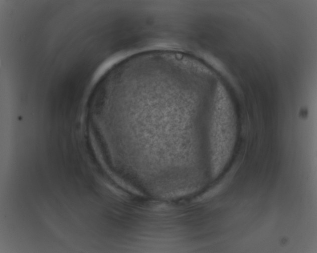 X0000094961222200712131637