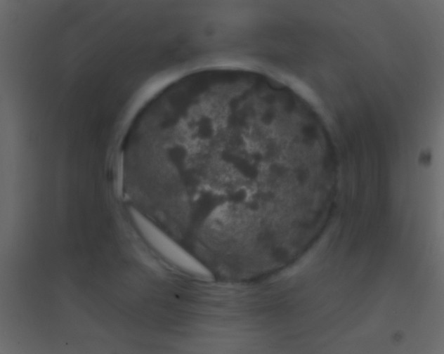 X0000094961223200712131637