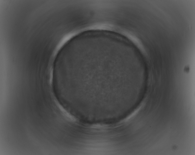 X0000094961224200712131637