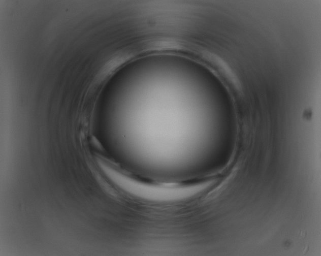 X0000094961225200712131637