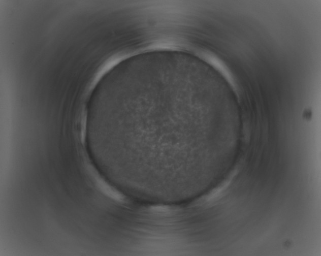 X0000094961227200712131637