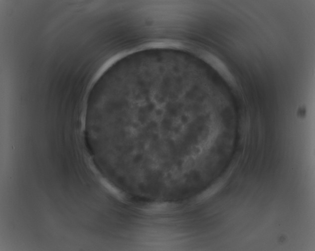 X0000094961228200712131638