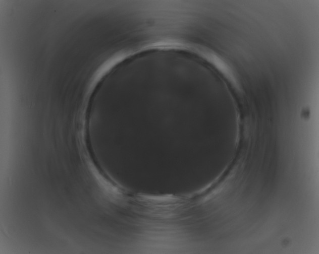 X0000094961229200712131638