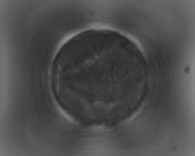 X0000094961231200712131638