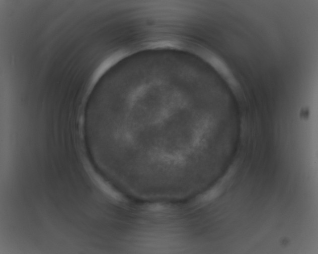 X0000094961234200712131638