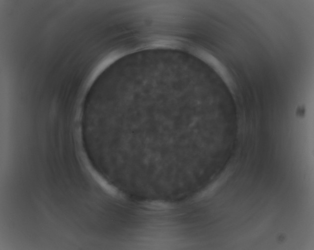 X0000094961235200712131638