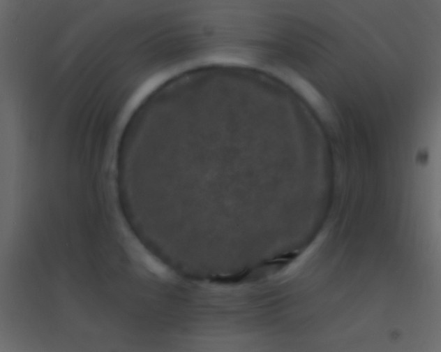 X0000094961240200712131638