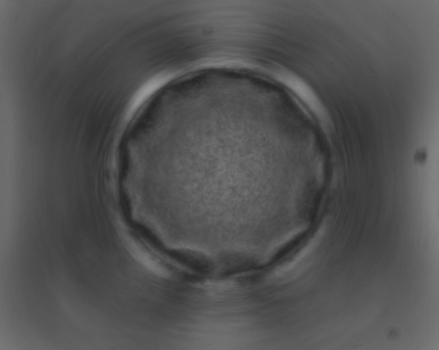 X0000094961242200712131638