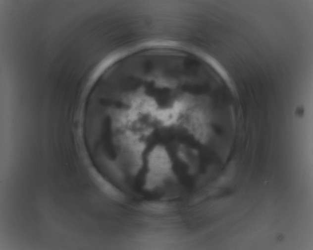 X0000094961245200712131638