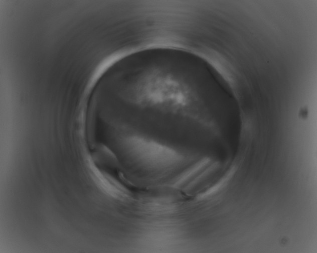 X0000094961246200712131638