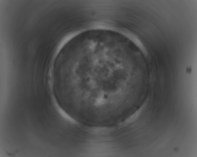 X0000094961247200712131638