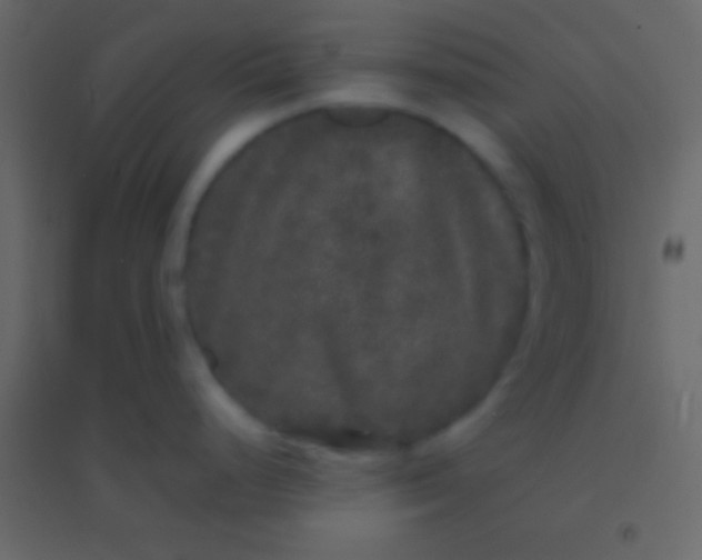 X0000094961248200712131638