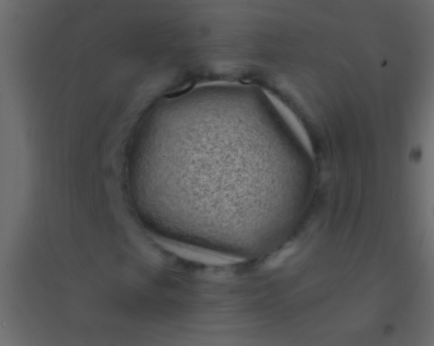 X0000094961249200712131637