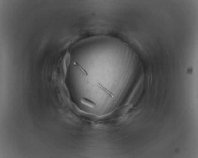 X0000094961250200712131637