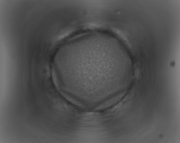 X0000094961253200712131637