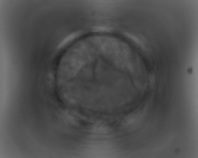 X0000094961254200712131637