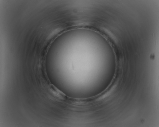 X0000094961257200712131637