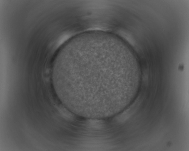 X0000094961258200712131637