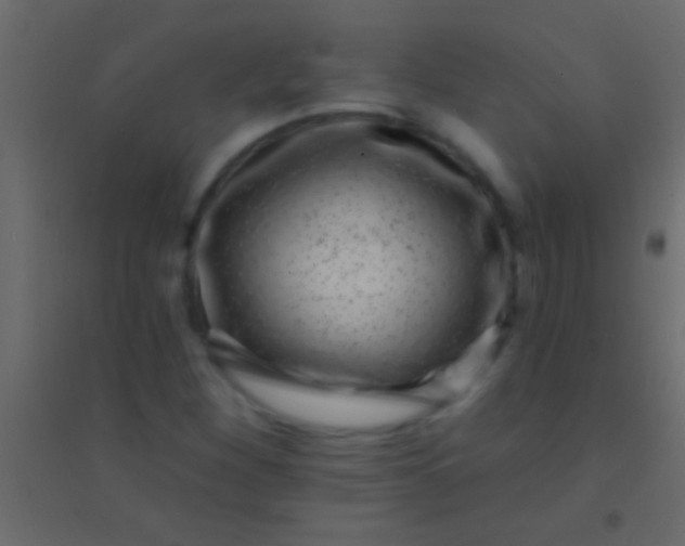 X0000094961260200712131637