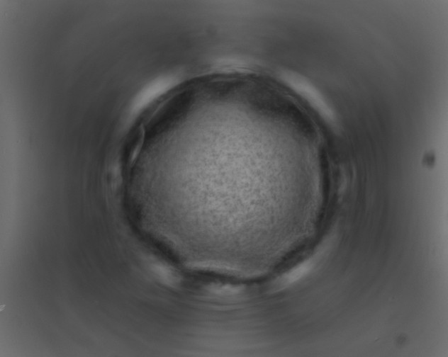 X0000094961261200712131637